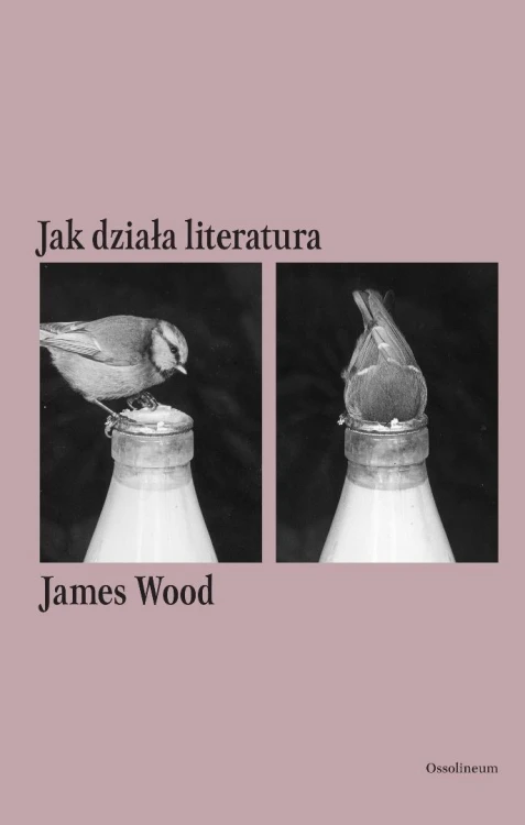 Jak działa literatura, James Wood