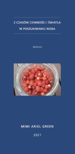 Z czasów ciemności i światła. W poszukiwaniu nieba