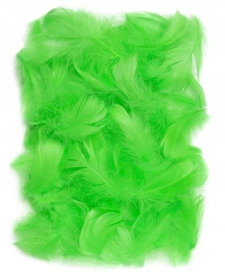 Piórka zielone 5-12cm 10g, Dalprint