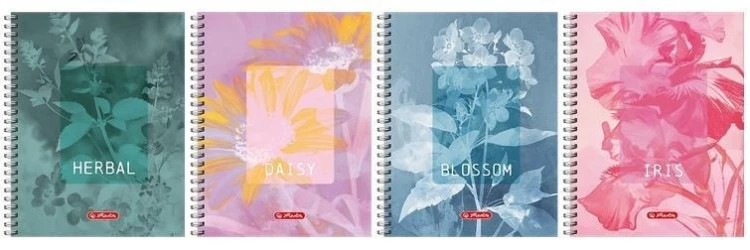 Kołozeszyt A5/80K kratka Blossom (5szt) HERLITZ