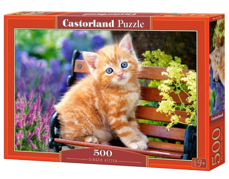 Puzzle 500 Ginger Kociak CASTOR, Castorland