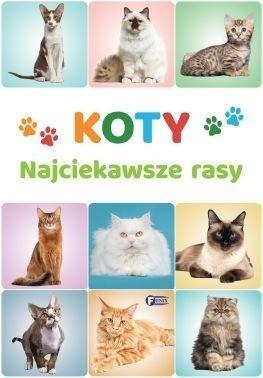 Koty. Najciekawsze rasy, praca zbiorowa