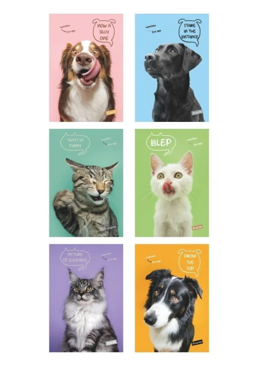Zeszyt A4/40K kratka Pets (10szt) MAR MAR, MAR MAR