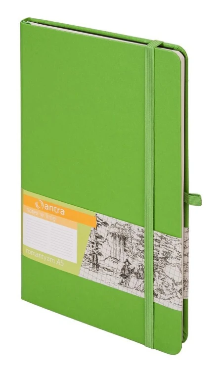 Notes A5 Linia Romantyzm Zielony ANTRA, Antra