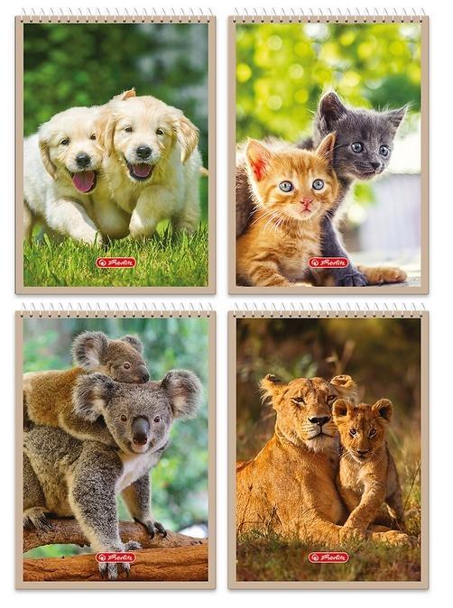 Notatnik A6/40K kratka Animals (10szt) HERLITZ