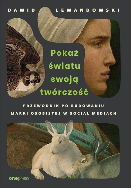 Pokaż światu swoją twórczość, Dawid Lewandowski