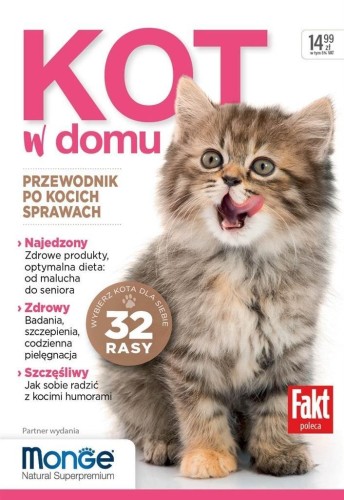 Kot w domu, praca zbiorowa
