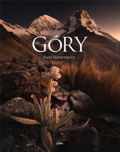 Góry - okładka Andy, Karol Nienartowicz