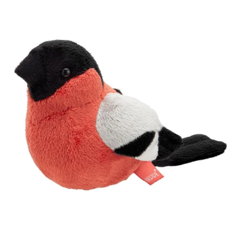 Gil zwyczajny 13cm, Beppe