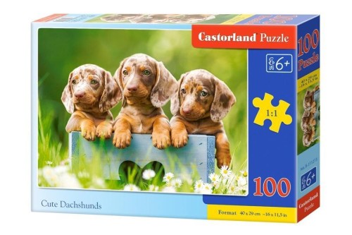 Puzzle 100 Słodkie jamniki CASTOR, Castorland