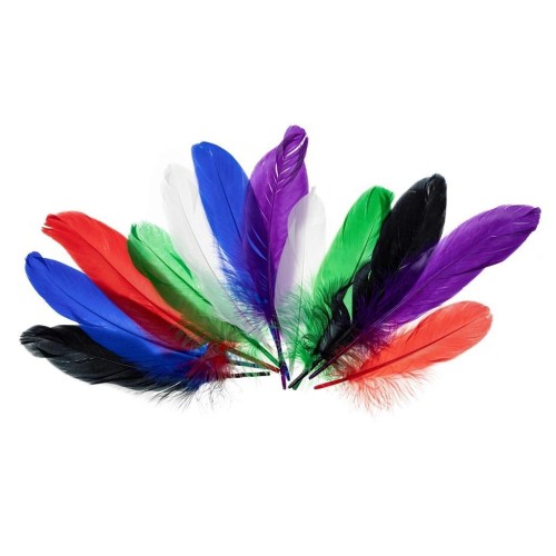 Piórka gęsie jaskrawe 15-20cm, Brewis
