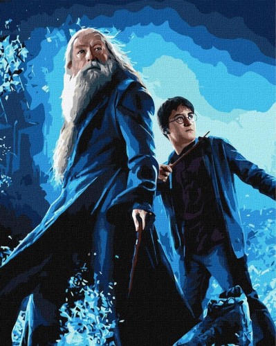 Malowanie po numerach - Harry Potter 40x50cm