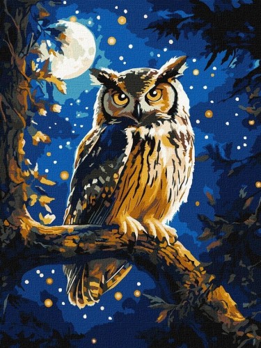 Malowanie po numerach - Nocna Sowa metal 30x40cm