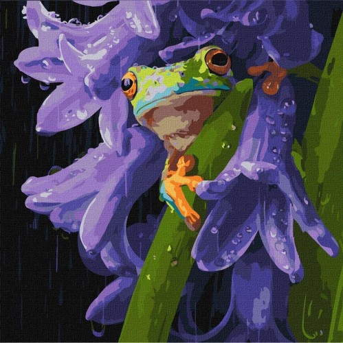 Malowanie po numerach - Żabka w deszczu 40x40cm