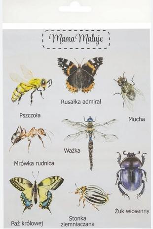 Naklejki duże Owady 1, Mama Maluje