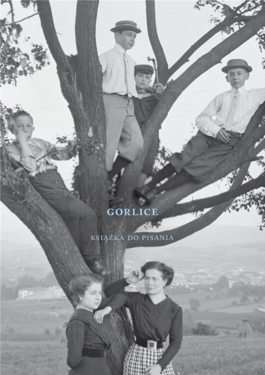 Gorlice. Książka do pisania, Janusz Sepioł