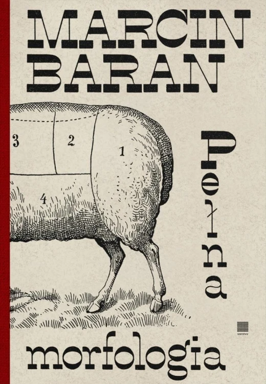 Pełna morfologia, Marcin Baran
