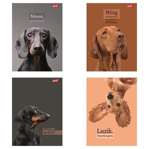 Zeszyt A5/60k kratka Doggy Moods (10szt), UNIPAP