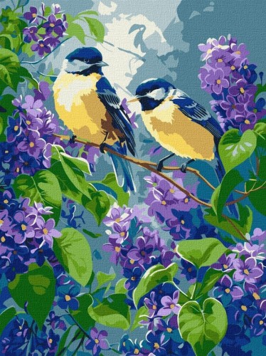 Malowanie po numerach - Wiosenny duet 30x40cm