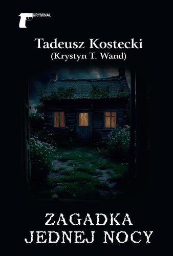 Zagadka jednej nocy