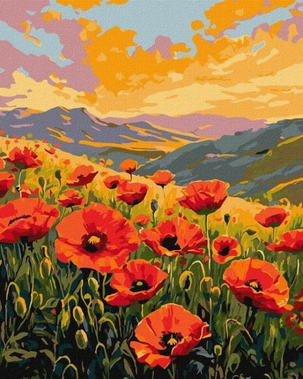 Malowanie po numerach - Cisza wśród maków 40x50cm