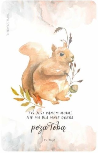 Magnes na lodówkę - wiewiórka, Szaron