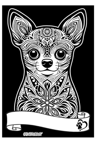 Kolorowanka welwetowa A4 Chihuahua