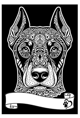 Kolorowanka welwetowa A4 Doberman