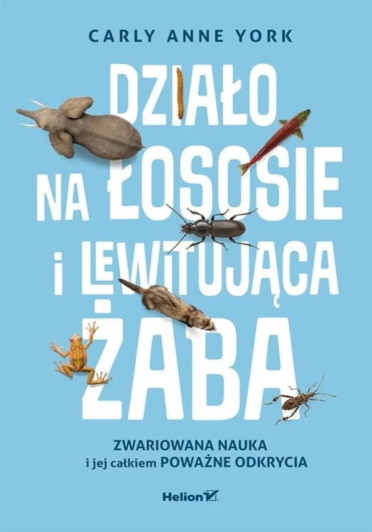 Działo na łososie i lewitująca żaba