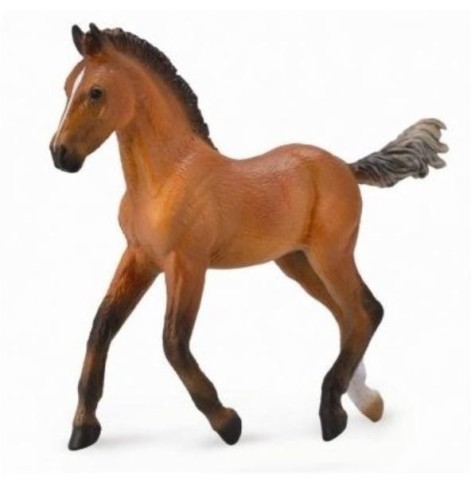 Źrebię rasy Hanowerski, Collecta
