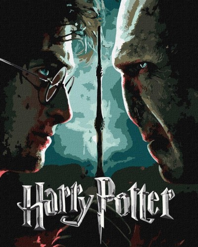 Malowanie po numerach - Harry i Voldemort metal