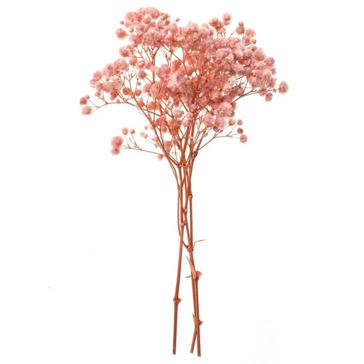 Gipsówka 4 gałązki ok. 20cm light pink, Dalprint