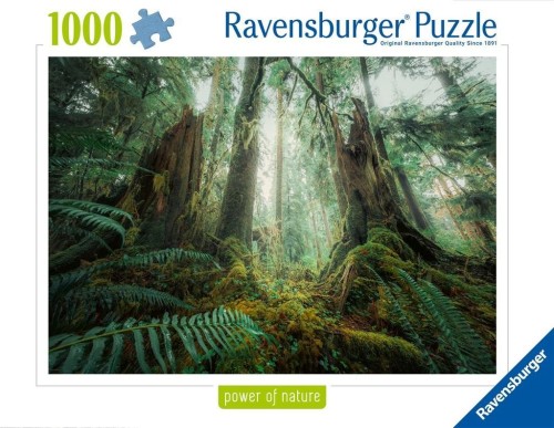 Puzzle 1000 Lasy, Ravensburger