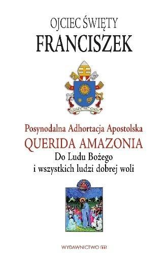 Adhortacja Querida Amazonia, Papież Franciszek