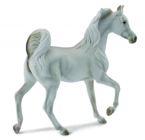 Klacz rasy arabskiej maści szarej, Collecta