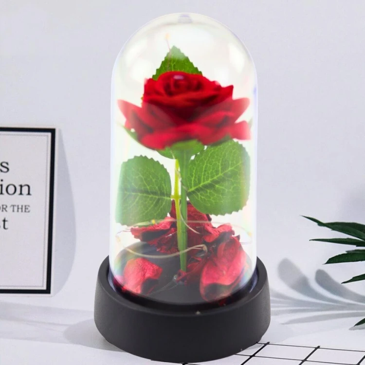 Wieczna Róża w Kopule z Oświetleniem LED, Leantoys