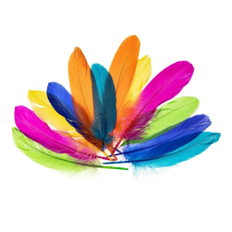 Piórka gęsie nenowy 15-20cm, Brewis