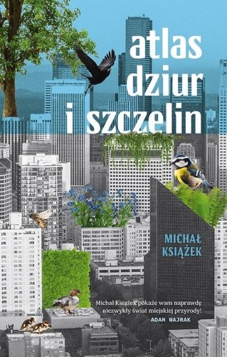 Atlas dziur i szczelin, Michał Książek