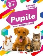 Zabawa i nauka. Pupile, Angelika Ogrocka