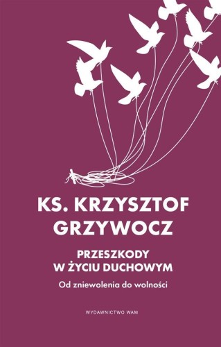 Przeszkody w życiu duchowym, Krzysztof Grzywocz