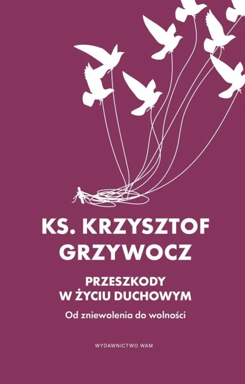 Przeszkody w życiu duchowym, Krzysztof Grzywocz