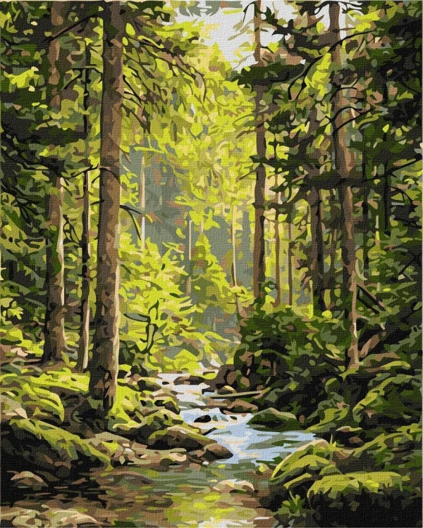 Malowanie po numerach - Źródło spokoju 40x50cm