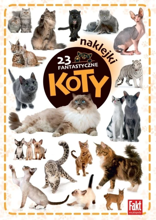 23 fantastyczne koty, praca zbiorowa