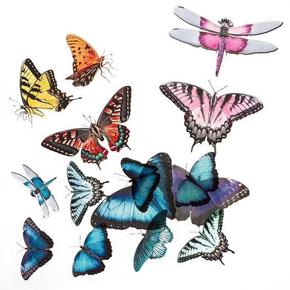 Naklejki transparentne PVC motyle, Dalprint