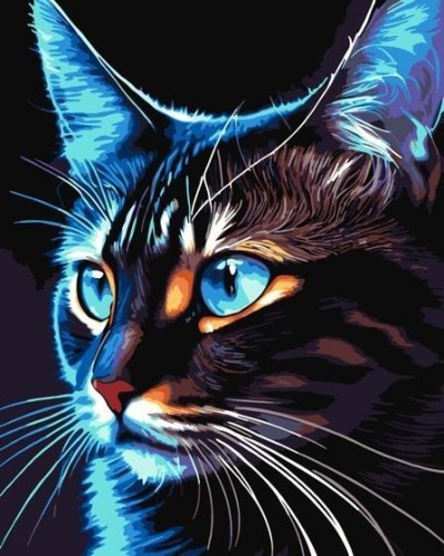 Malowanie po numerach - Cosmo-cat 40x50cm, Qbee