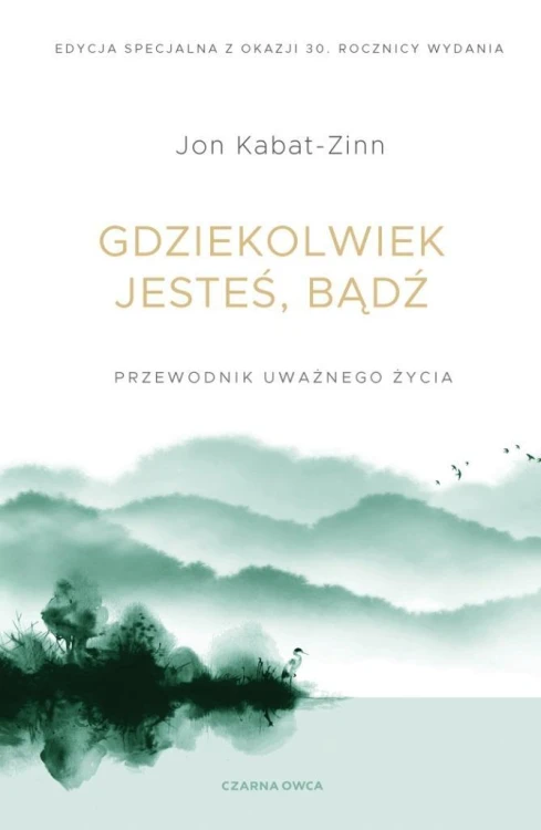 Gdziekolwiek jesteś, bądź, Jon Kabat-Zinn