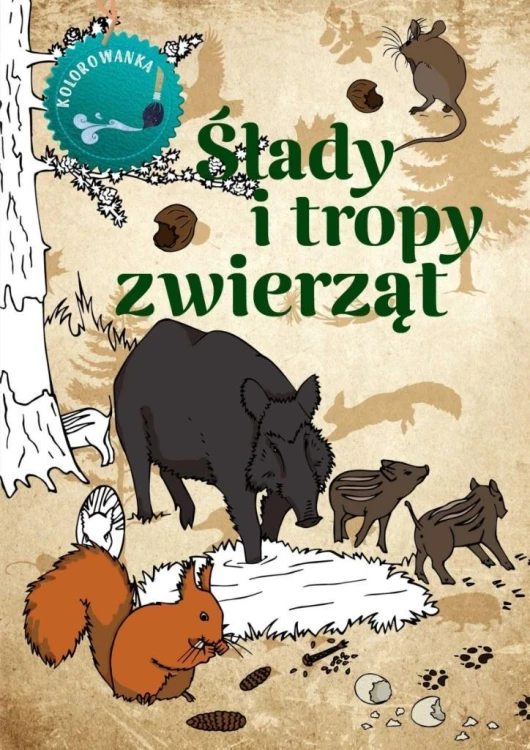 Ślady i tropy zwierząt kolorowanka