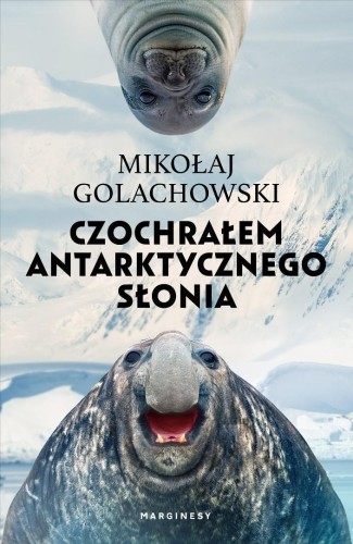 Czochrałem antarktycznego słonia w.rozszerzone
