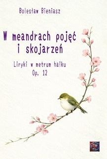 W meandrach pojęć i skojarzeń, Bolesław Bieniasz