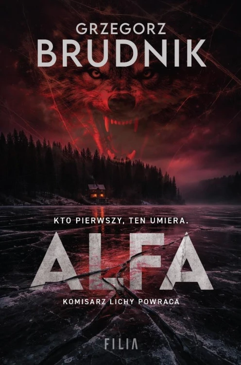Komisarz Rafał Lichy T.4 Alfa, Grzegorz Brudnik